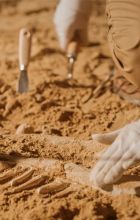 case heritage studies course