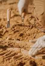 case heritage studies course