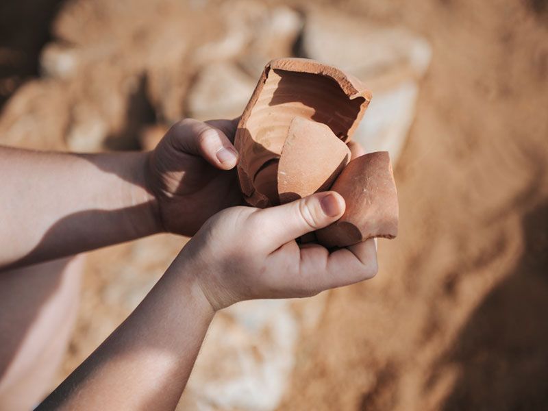 case heritage studies course